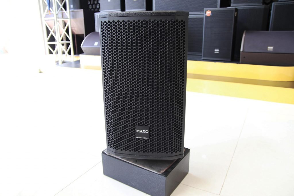 LOA FULL RANGE 2 TẤC RƯỠI S10 4 loa-full-range-2-tac-ruoi-s10