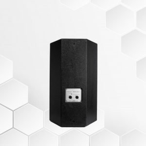 LOA FULL RANGE 4 TẤC R15X 2 loa full range r15x loa toan dai maxo audio 1