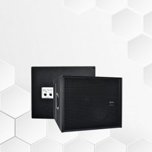 LOA SUB FULL ARRAY 5 TẤC X118LA