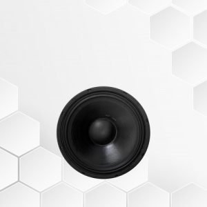 CỦ LOA BASS TỪ NEO NE1230-8 2 ne1230-8-loa-roi-san-khau-maxo-audio-1