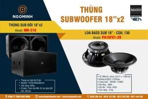 NM-218 GHEP PA18FX1-29