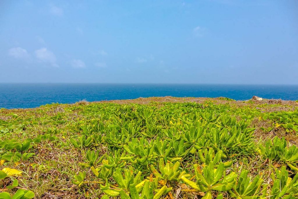 canh-dep-du-lich-con-dao