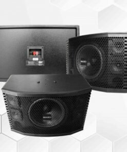 LOA FULL RANGE 2 TẤC RƯỠI MK-10