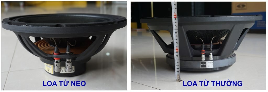 so-sanh-cu-loa-tu-thuong-va-tu-neo