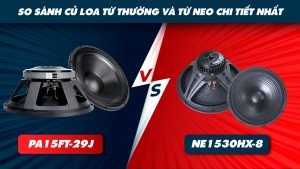 so-sanh-cu-loa-tu-thuong-va-tu-neo-chi-tiet-nhat