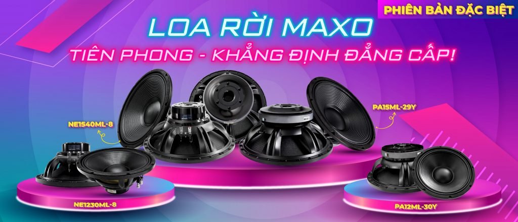 mau-loa-roi-nhap-khau-chinh-hang