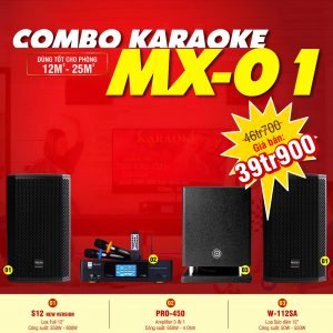 DÀN KARAOKE GIA ĐÌNH COMBO MX-01