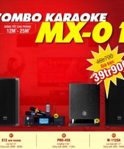 DÀN KARAOKE GIA ĐÌNH COMBO MX-01