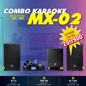 DÀN KARAOKE GIA ĐÌNH COMBO MX02