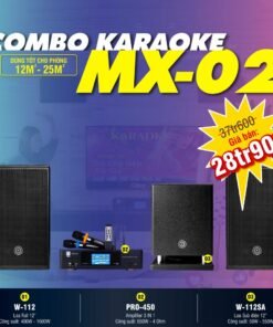 DÀN KARAOKE GIA ĐÌNH COMBO MX02