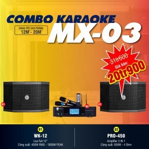 DÀN KARAOKE GIA ĐÌNH COMBO MX03